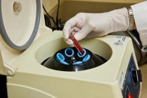 iStock_000013162361_Small